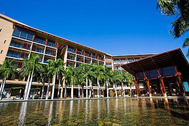 《Weyrdlets》Steam试玩发布 休闲桌面宠物育成